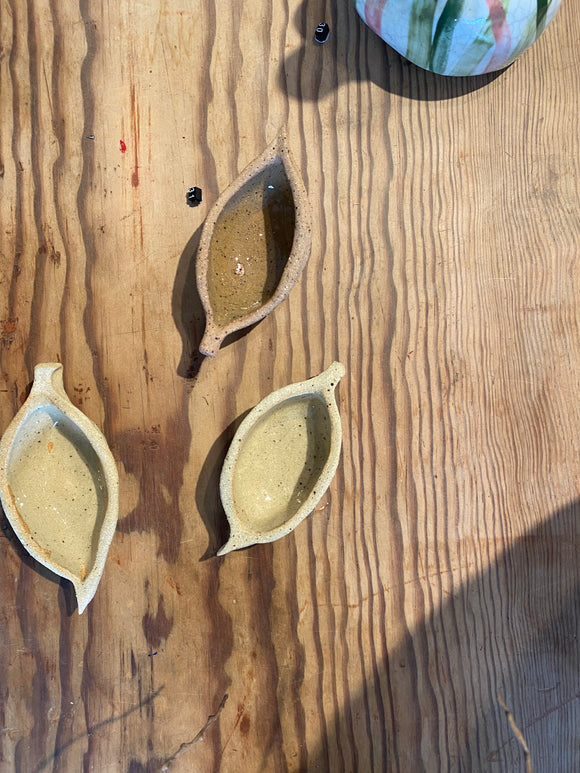 31. Kurrajong Seed Pods