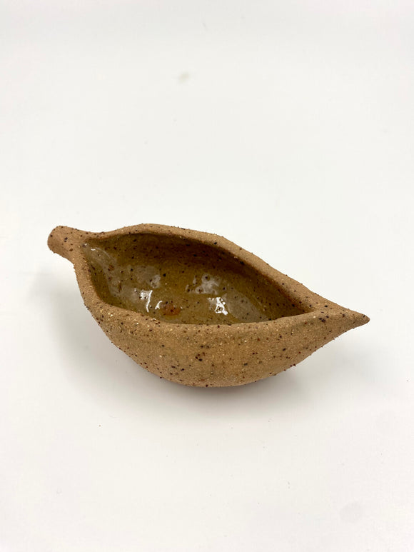 15. Kurrajong Seed Pods