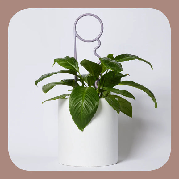 Lucky Things | Plant Pin | Grape