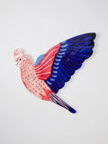 Jones & Co | Aerial Galah Wall Art