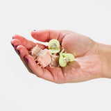 Chunks | Micro Claws | Zen