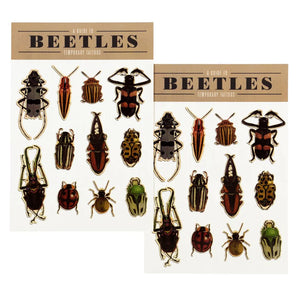 Rex | Beetle | Temporary Tattoos