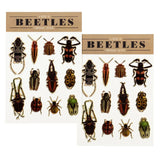 Rex | Beetle | Temporary Tattoos