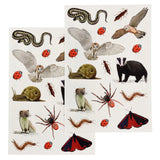 Rex | Nature Trail | Temporary Tattoos