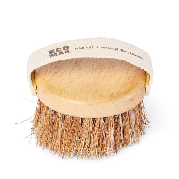 ECOMAX | Round Spa Brush