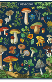 Cavallini 1000 piece puzzle | Foraging