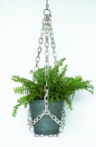 Woljam | Plant Hanger | Coffee