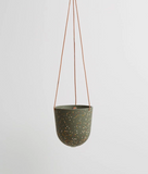 Capra Designs | Terrazzo Hanging Pot | Agave