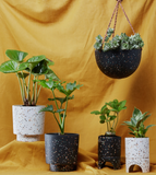 Capra Designs | Terrazzo Hanging Pot | Black