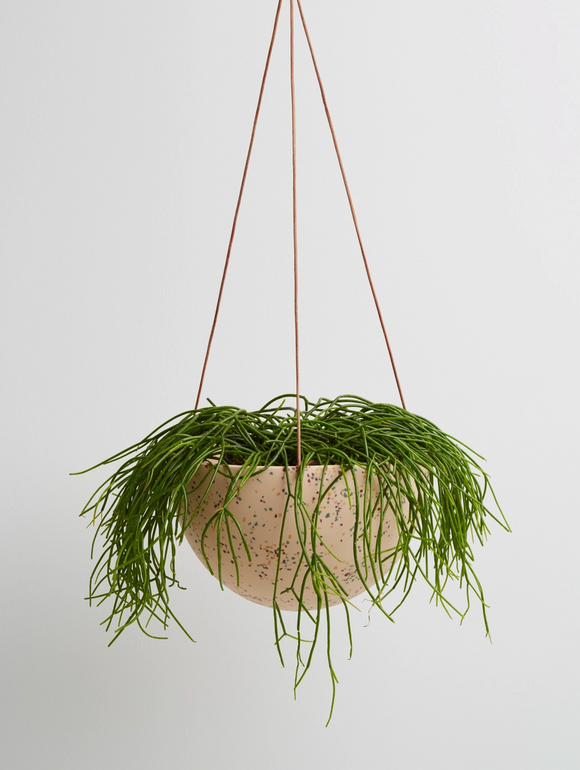 Capra Designs | Terrazzo Hanging Pot | Salt