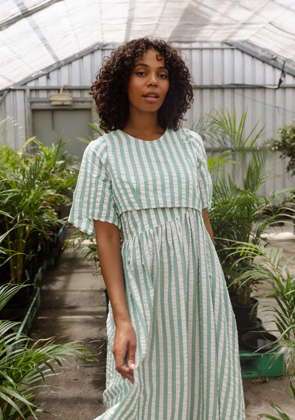 Nancybird Mabel Dress in Green Stripe – Quirk Collective