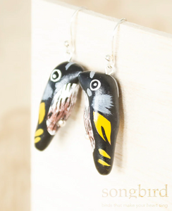 Songbird | New Holland Honeyeater Earrings
