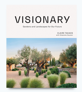 Visionary | Claire Takacs