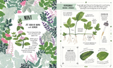 Grow | A Children's Guide to Plants and How to Grow Them