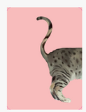 Heads & Tails | Cat Memory Cards | Match Up