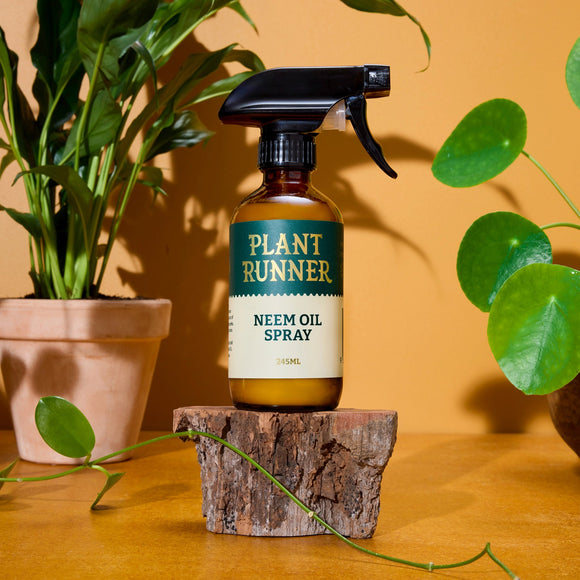 Plant Runner | Neem Oil