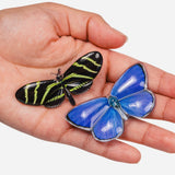 Chunks | Allie Butterfly Clips in Light Catchers
