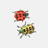 Chunks | Allie Clip | Spotted Crawlers