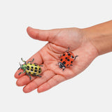 Chunks | Allie Clip | Spotted Crawlers