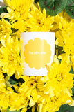 Bon Lux | Sunbeam Boxed Votive Candle