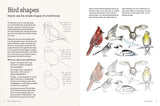 Birds in Watercolour: A Beginner's Guide to Drawing and Painting Birds | Sofia Gazarian