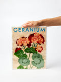 Jones & Co | Market Wall Art | Geranium