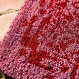 Sage x Clare | Indiana Door Mat