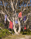 Kip & Co | Terry Beach Towel | Ciao Stripe