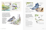 Birds in Watercolour: A Beginner's Guide to Drawing and Painting Birds | Sofia Gazarian