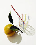 Kip & Co | Neptune Stripe Tumbler Glass Set (2)