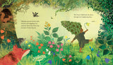 The Green Child | By Hollie Hughes & Britta Teckentrup