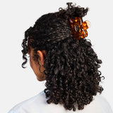 Chunks | Flower Claw | Honey Check