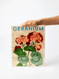 Jones & Co | Market Wall Art | Geranium