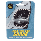 Rex London | Grow Your Own Shark