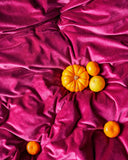 Kip & Co | Ocean Velvet Quilt Cover | Anemone