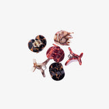 Chunks | Micro Claw | Terra