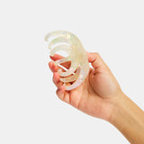 Chunks | Large Octopus Claw | Pearl Shimmer