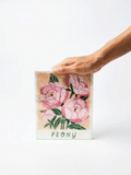 Jones & Co | Market Wall Art | Peony