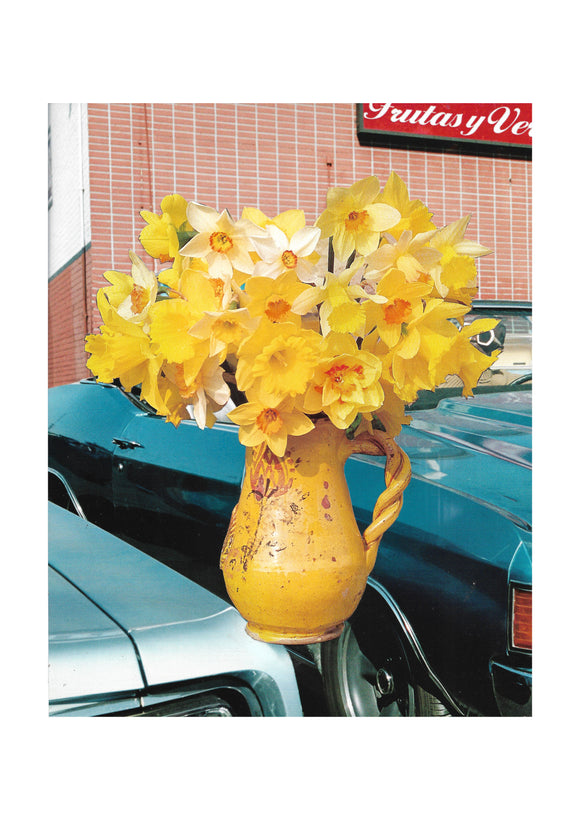 7. Daffodil Car