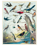 Cavallini 1000 Piece Puzzle | Audubon Birds