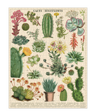 Cavallini 1000 Piece Puzzle | Cacti & Succulent
