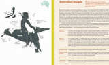 100 Australian Birds | Georgia Angus