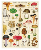 Cavallini 1000 Piece Puzzle | Mushroom